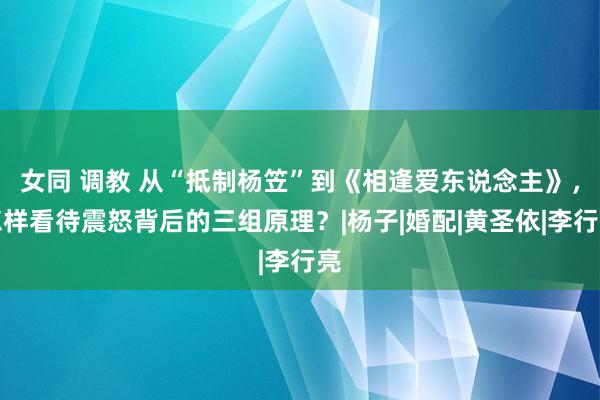 女同 调教 从“抵制杨笠”到《相逢爱东说念主》，怎样看待震怒背后的三组原理？|杨子|婚配|黄圣依|李行亮