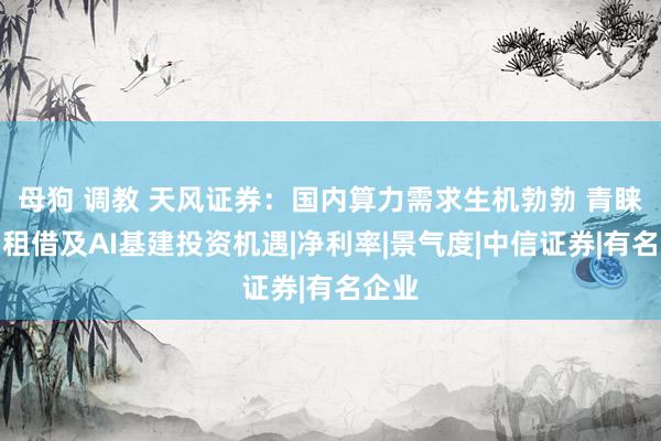 母狗 调教 天风证券：国内算力需求生机勃勃 青睐算力租借及AI基建投资机遇|净利率|景气度|中信证券|有名企业
