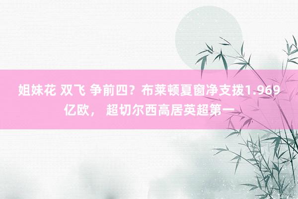 姐妹花 双飞 争前四？布莱顿夏窗净支拨1.969亿欧， 超切尔西高居英超第一