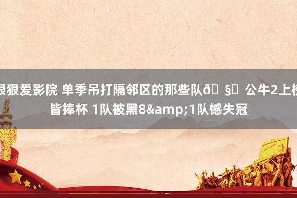 狠狠爱影院 单季吊打隔邻区的那些队🧐公牛2上榜皆捧杯 1队被黑8&1队憾失冠